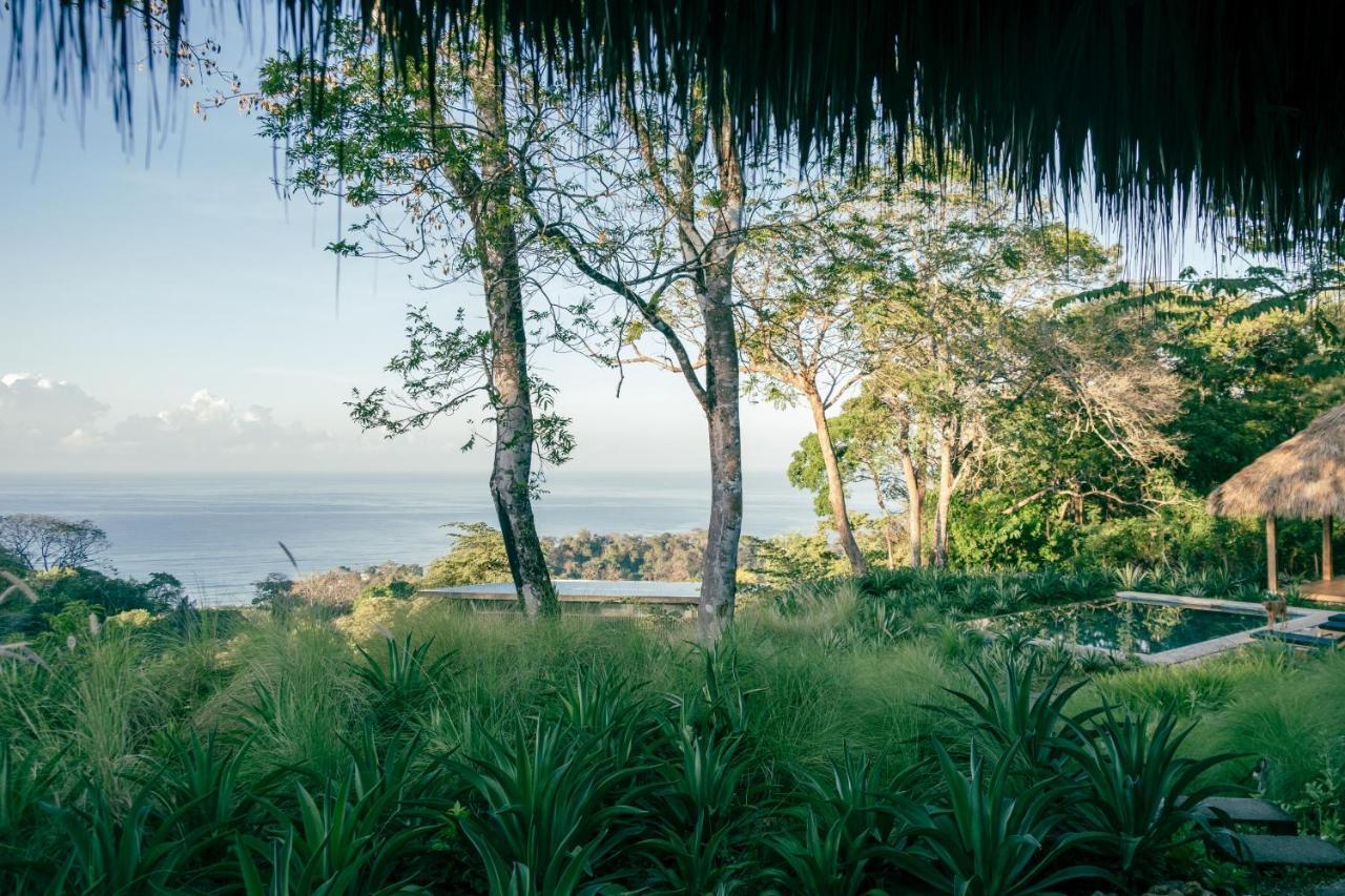 Thea Resort & Retreats - Santa Teresa Playa Santa Teresa  Eksteriør bilde