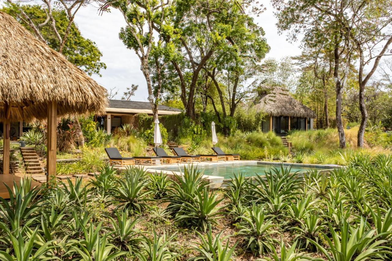Thea Resort & Retreats - Santa Teresa Playa Santa Teresa  Eksteriør bilde